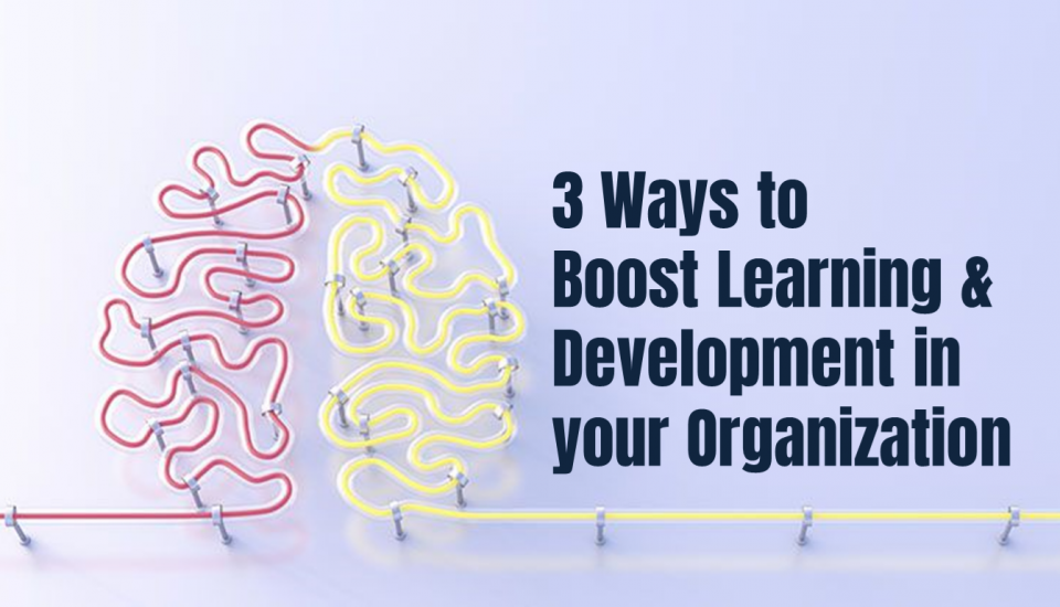 3 ways to boost Learning & Development in your Organisation